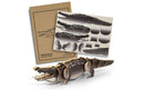 BRANDCRAFT Crocodile Wooden Model Puzzle