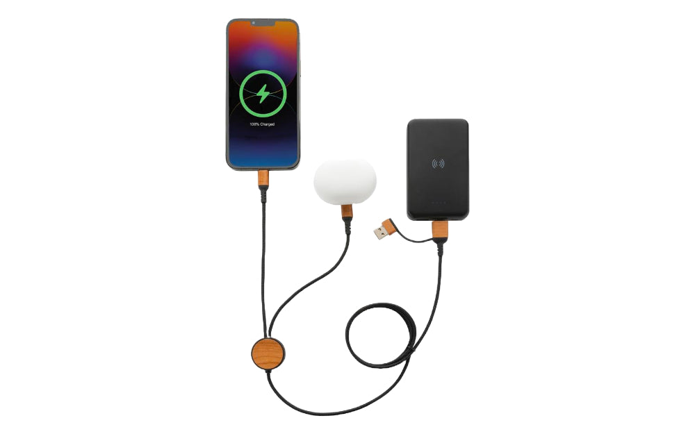 Boxaroo Boxaroo: CORAL 6-in-1 Cable – Custom Corporate Gifts