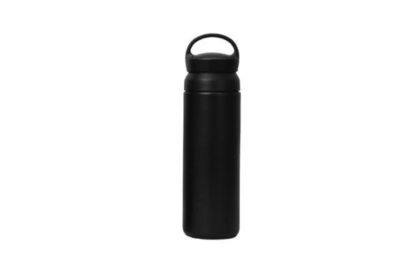 VOLGA 500ml Insulated Bottle with Handle Cap
